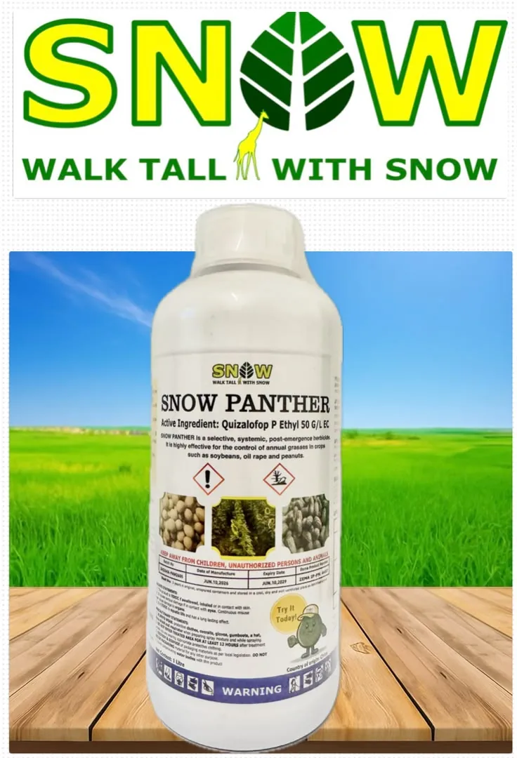 Snow Panther — supplied product image
