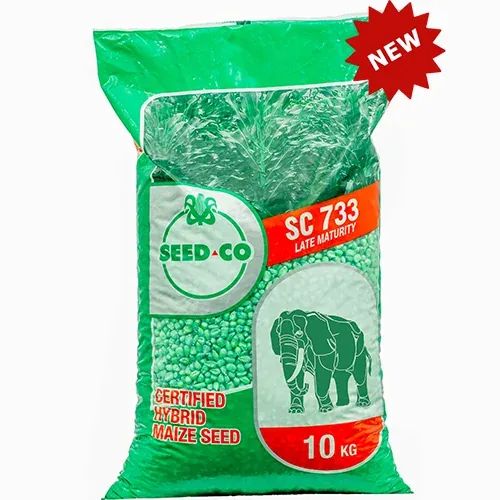 Seed Co SC 733 — image supplied by Gaulani