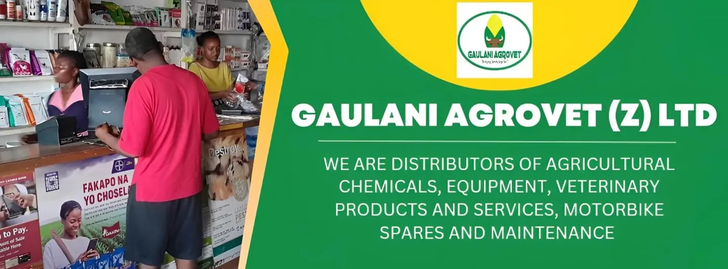 Gaulani supplier and customer artwork